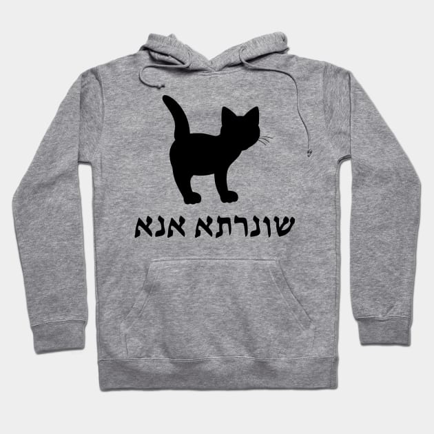 I'm A Cat (Aramaic, Feminine) Hoodie by dikleyt